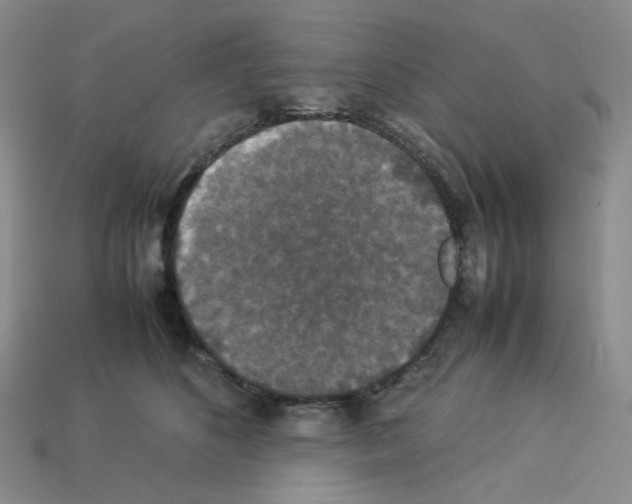 X0000112830516200910021225