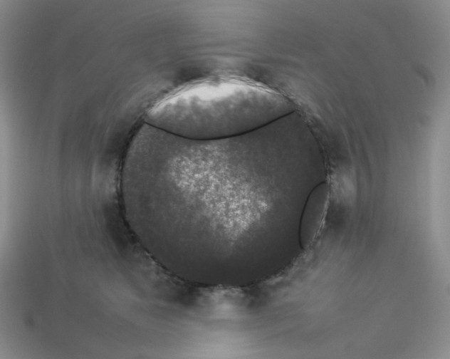 X0000112830517200910021225