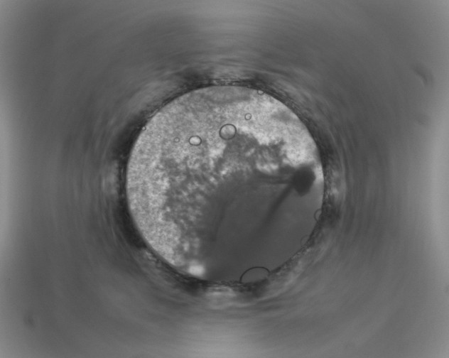 X0000112830519200910021225