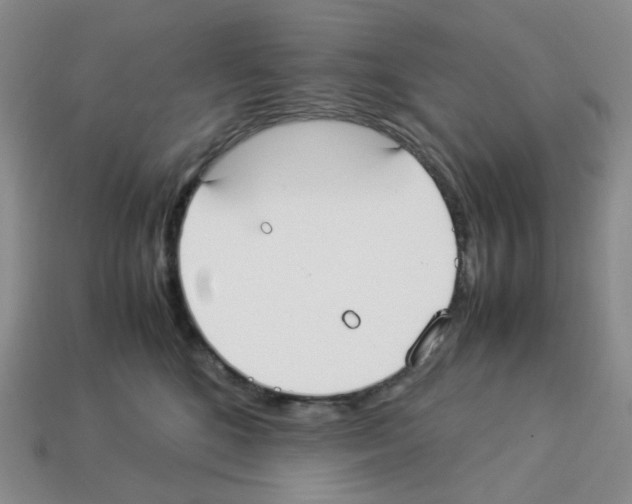 X0000112830520200910021225