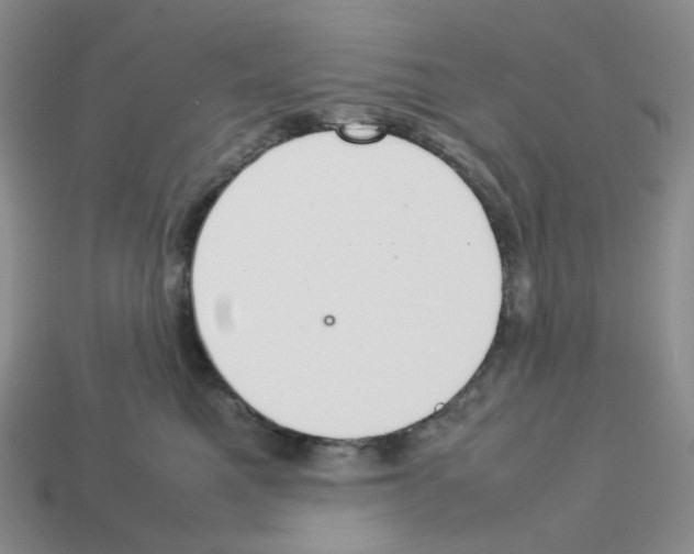 X0000112830521200910021225