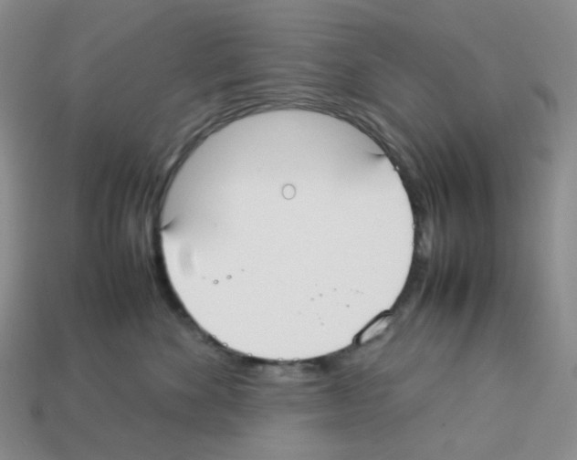 X0000112830524200910021225