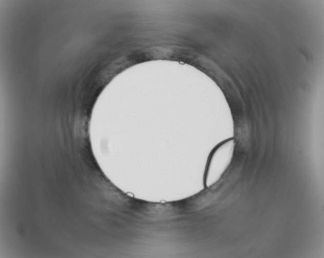 X0000112830525200910021225