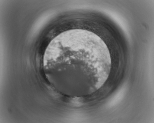 X0000112830527200910021225