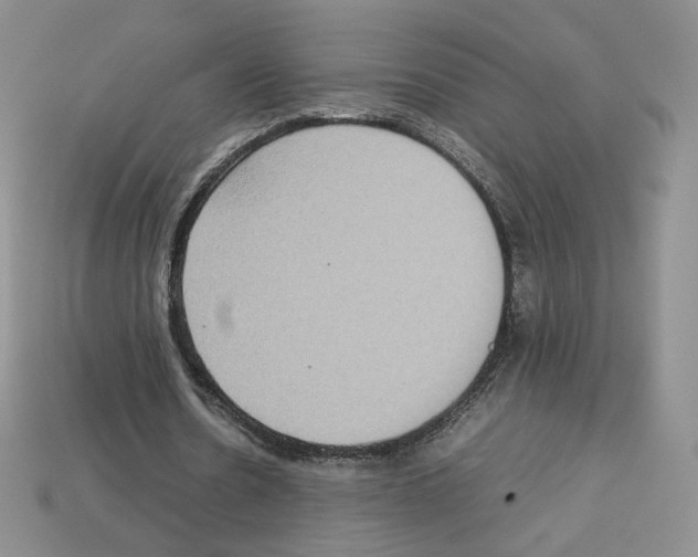 X0000112830530200910021224