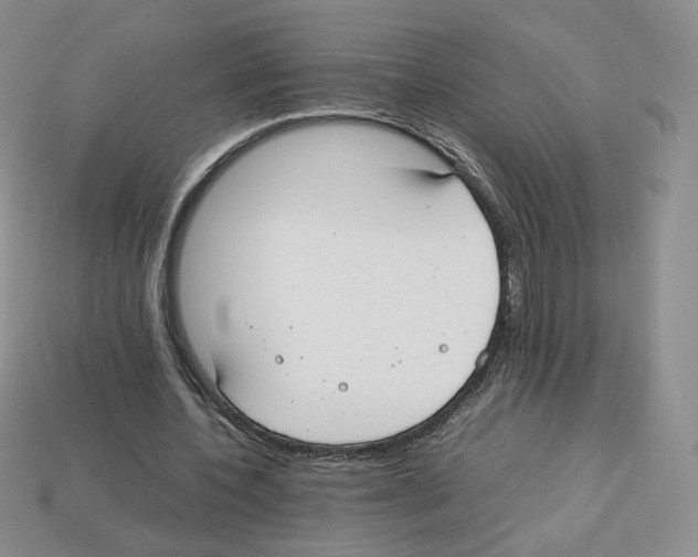 X0000112830532200910021224