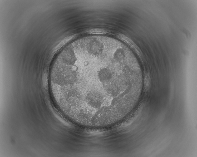 X0000112830533200910021224