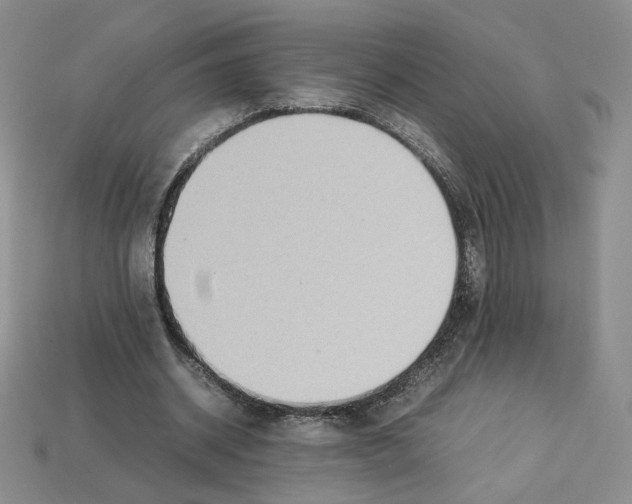 X0000112830534200910021224