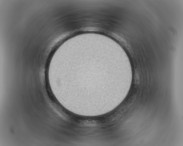 X0000112830535200910021224