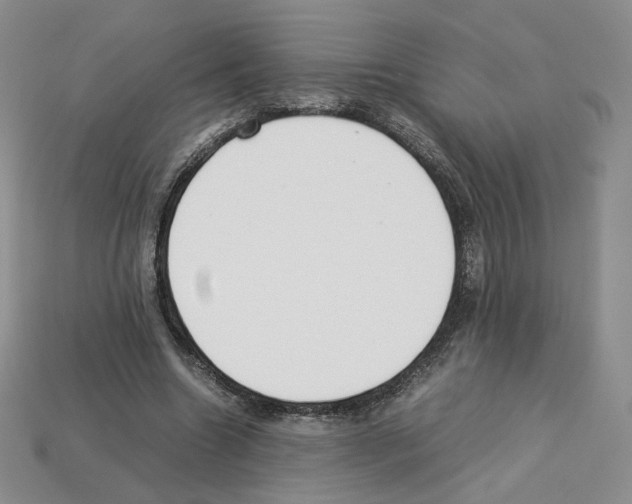 X0000112830538200910021224