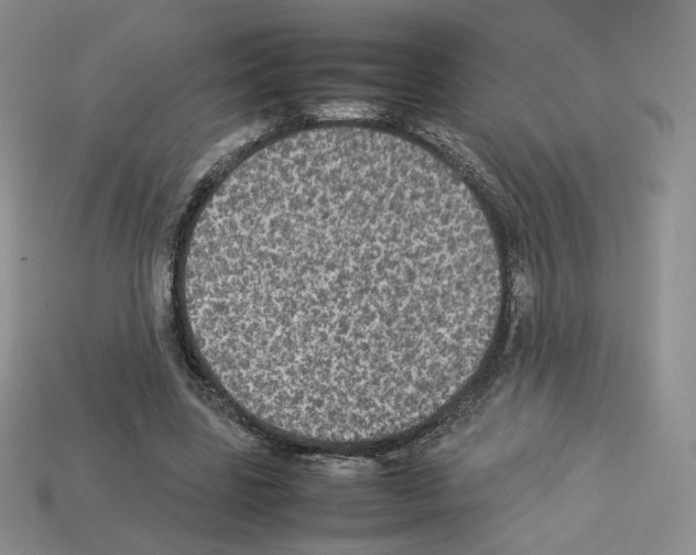 X0000112830539200910021224