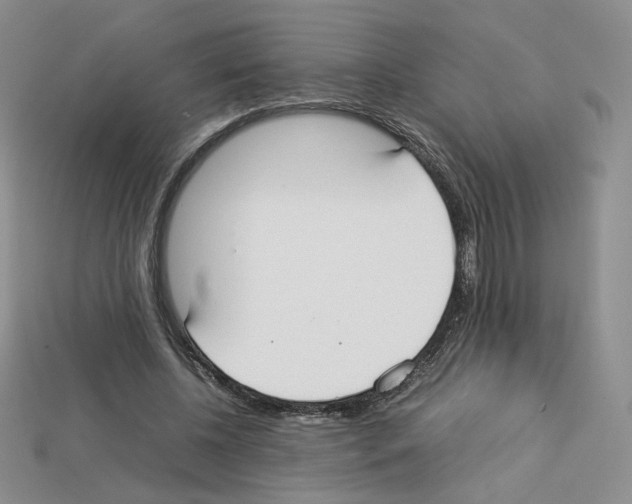 X0000112830540200910021224