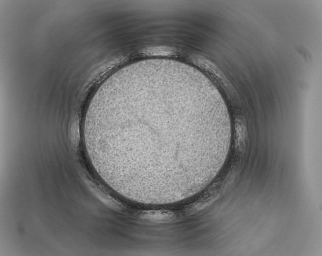 X0000112830541200910021224