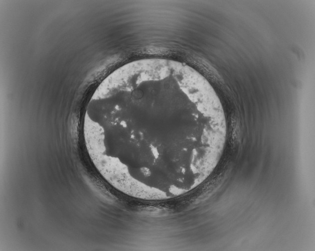 X0000112830542200910021224