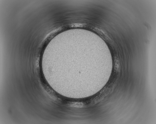 X0000112830543200910021224