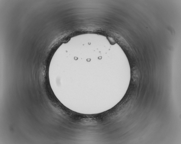 X0000112830544200910021224