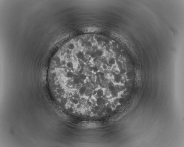 X0000112830545200910021224