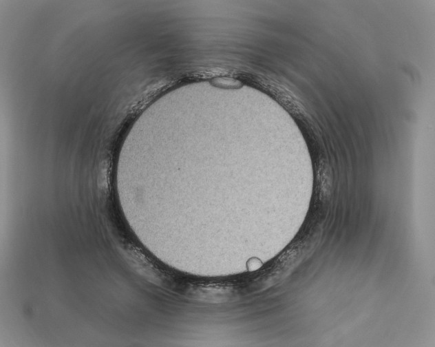 X0000112830546200910021224