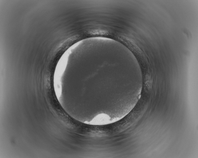 X0000112830547200910021224