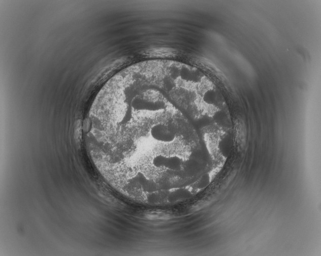 X0000112830549200910021224