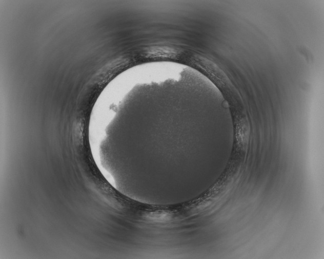 X0000112830551200910021224