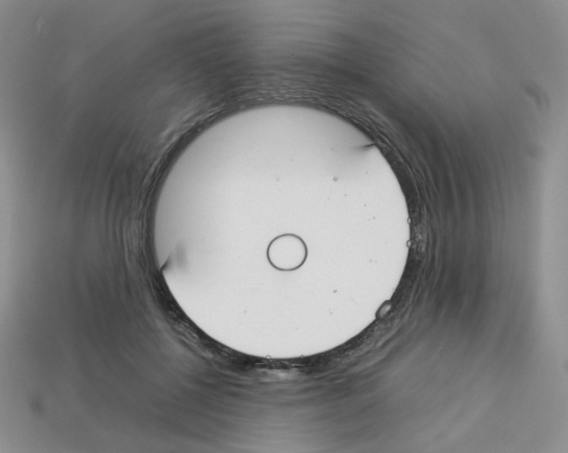 X0000112830552200910021225