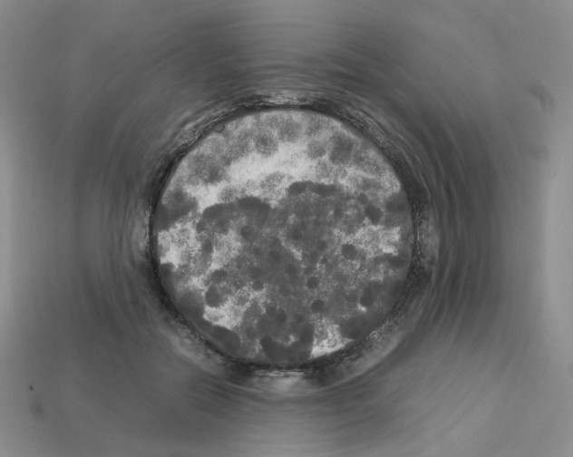 X0000112830554200910021225