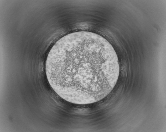 X0000112830555200910021225