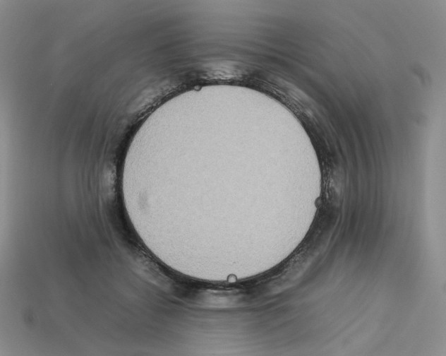 X0000112830556200910021225