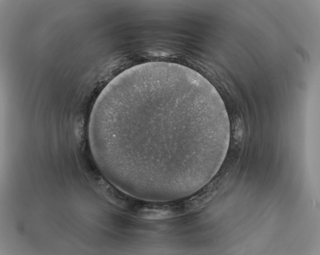 X0000112830559200910021225