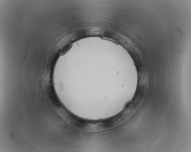 X0000112830560200910021225