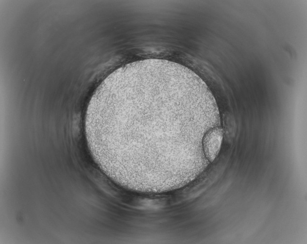 X0000112830563200910021225