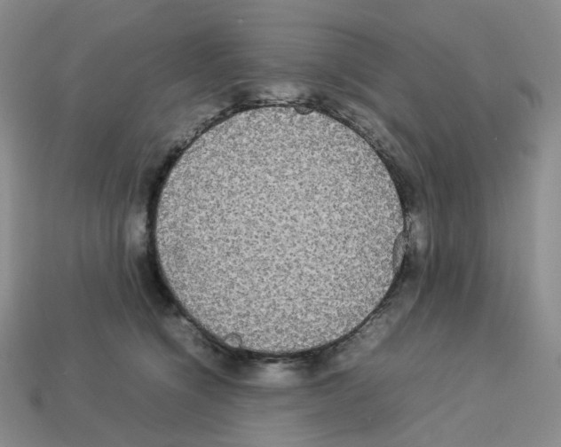 X0000112830564200910021225