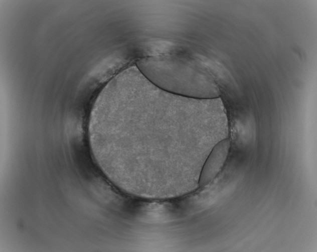 X0000112830566200910021225