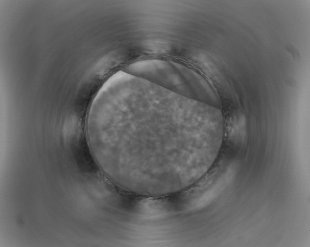 X0000112830568200910021225