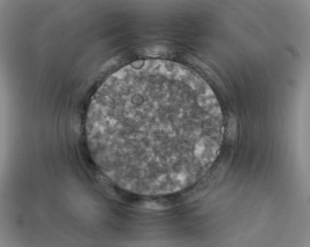 X0000112830569200910021225