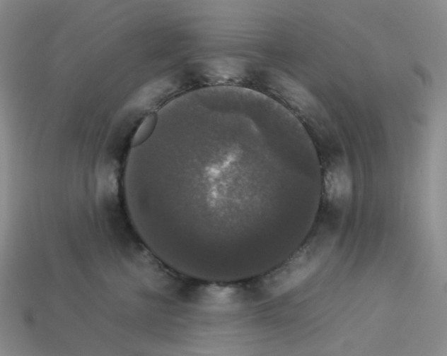 X0000112830570200910021225