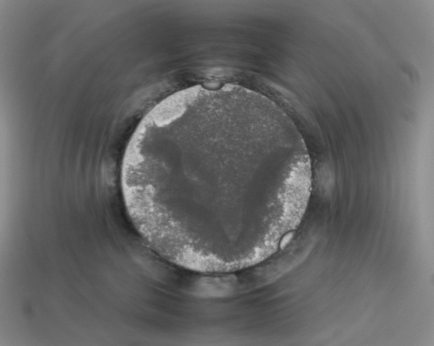 X0000112830571200910021225