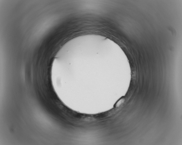 X0000112830572200910021225