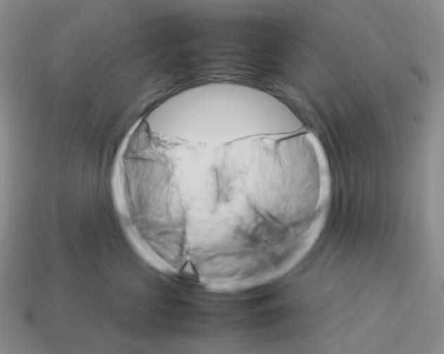 X0000112830573200910021225