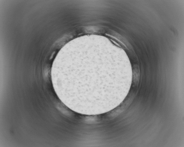 X0000112830574200910021225