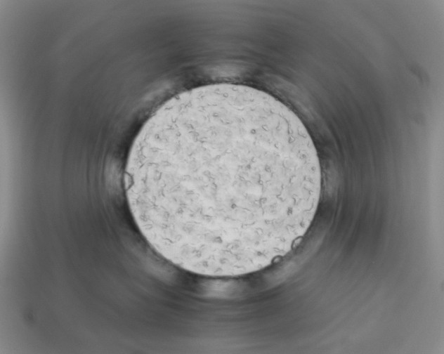 X0000112830575200910021225