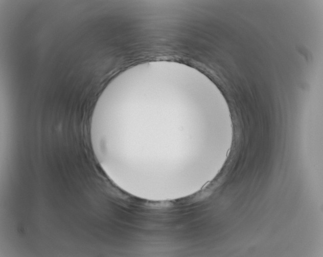 X0000112830576200910021225