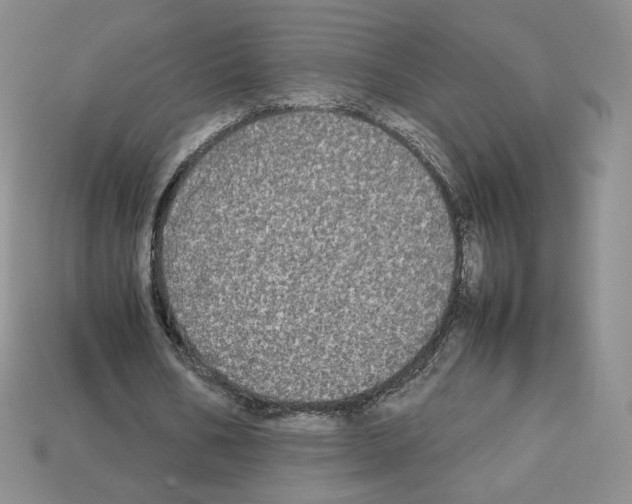 X0000112830578200910021224