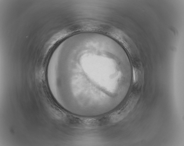 X0000112830579200910021224