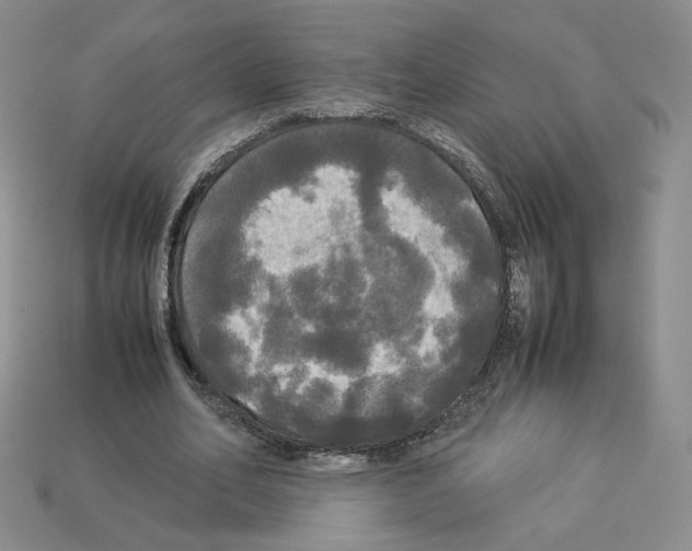 X0000112830582200910021224