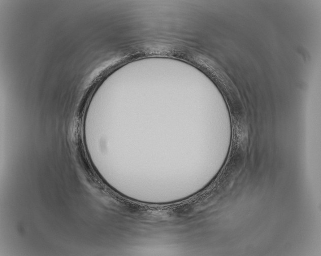 X0000112830583200910021224