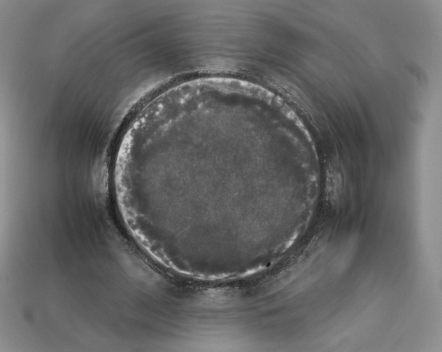 X0000112830584200910021224