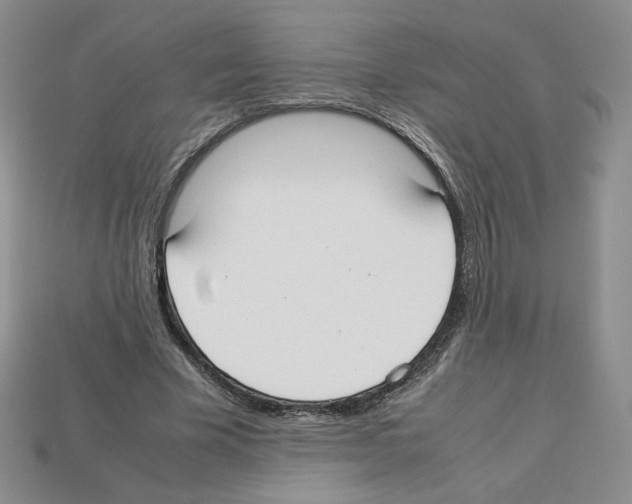 X0000112830585200910021224