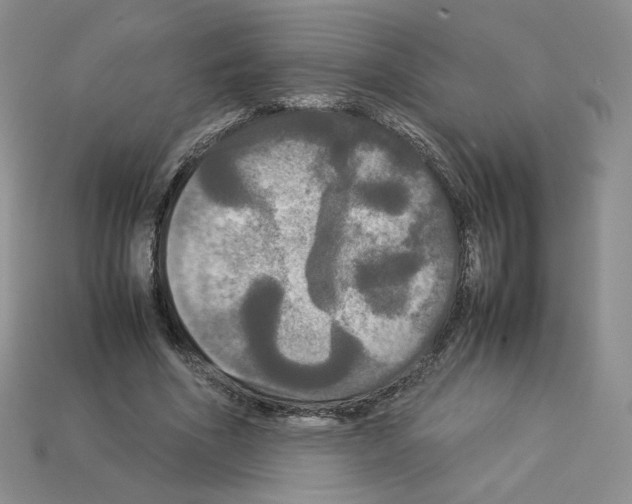 X0000112830586200910021224